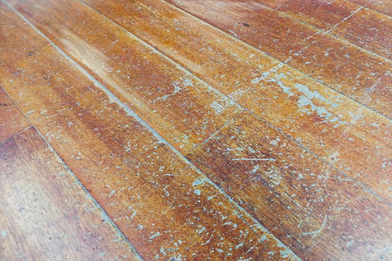 Floor Refinishing Service in Olathe, KS